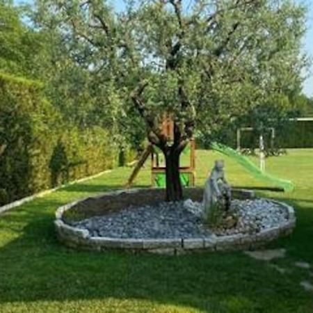 فيلا La Casa Di M : D M. Breda di Piave المظهر الخارجي الصورة